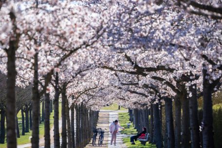 Wetterbilanz / April brachte wieder mehr Regen – und große Temperaturschwankungen