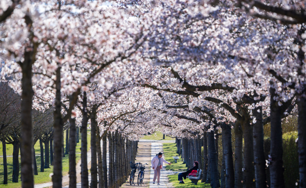 Wetterbilanz / April brachte wieder mehr Regen – und große Temperaturschwankungen