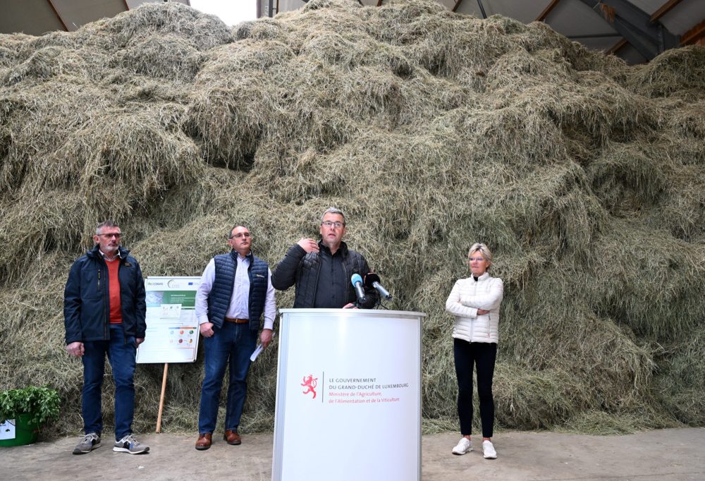 Landwirtschaft / Task Force Ammoniak zieht erste Bilanz und stellt Reduzierungsmaßnahmen vor