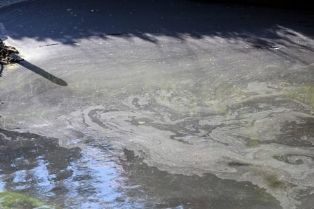 Schifflingen / Wieder ein Ölfilm auf der Alzette – Wasserwirtschaftsamt sucht in Esch nach der Quelle