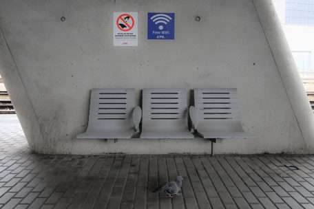 Am Bahnhof in Belval ist das Füttern von Tauben verboten