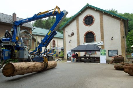 „Escher Klimawoch“ / Der Wald und die Bäume sind der Star
