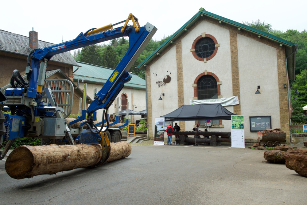 „Escher Klimawoch“ / Der Wald und die Bäume sind der Star