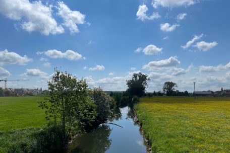 Frühling ohne Regen / Das Wetter in Luxemburg bleibt trocken und sonnig 