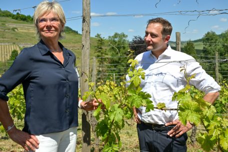 Die luxemburgische Landwirtschaftsministerin Martine Hansen und der EU-Landwirtschaftskommissar Christophe Hansen besuchten am Dienstag den Winzerbetrieb von Jeff Konsbrück in Ahn