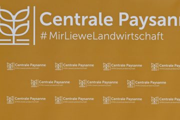 État de la nation / „Centrale paysanne“ kritisiert fehlendes Interesse für Bedenken zum Mercosur-Abkommen