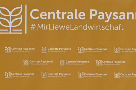 État de la nation / „Centrale paysanne“ kritisiert fehlendes Interesse für Bedenken zum Mercosur-Abkommen