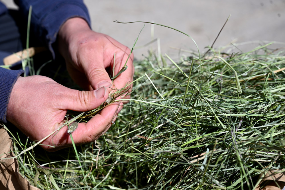 Landwirtschaft / Digitales Heu für Luxemburg: So funktioniert „hee.lu“