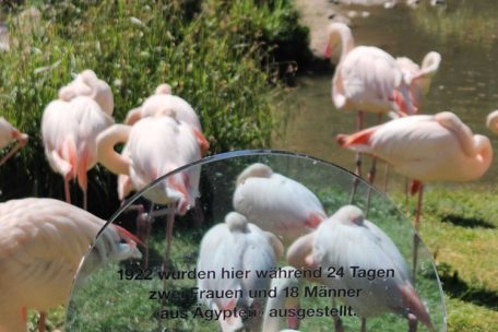 Auseinandersetzung mit der eigenen Vergangenheit