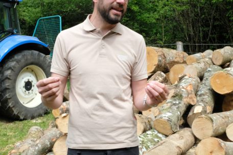Pol Zimmermann und sein Team sind tagtäglich mit dem Waldsterben konfrontiert