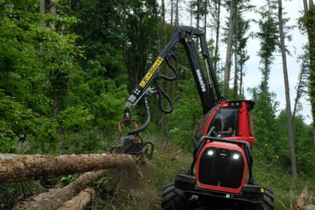 Große Maschinen wie diese können Bäume in weniger als einer Minute fällen und entasten.