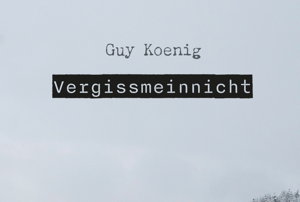 Buchkritik / Vun erënneren a verdrängen: E Bléck op dem Guy Koenig säi „Vergissmeinnicht“