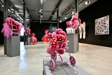 Symbiose zwischen den Textilarbeiten von Reiny Rizzi und Th&eacute;id Johanns&rsquo; Installationen