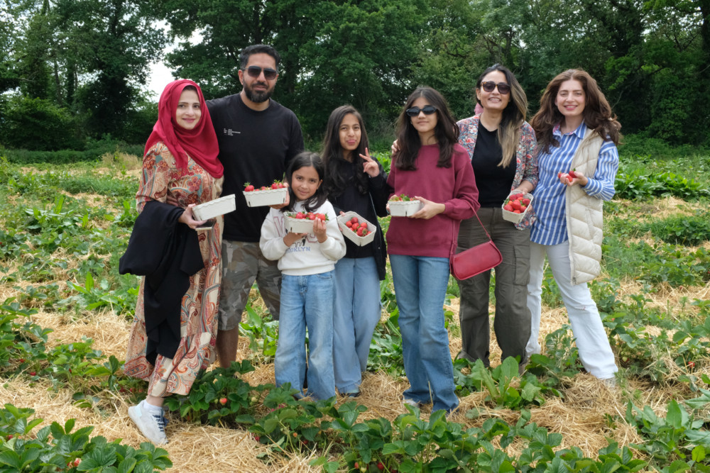 Contern / Auf dem Hof Muller-Lemmer können Besucher selbst Erdbeeren pflücken