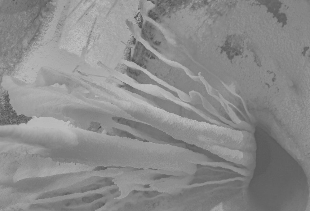 European Month of Photography / „Beyond the Frame. Rethinking Photography“ im Nationalmuseum geht weit über klassische Fotografie hinaus