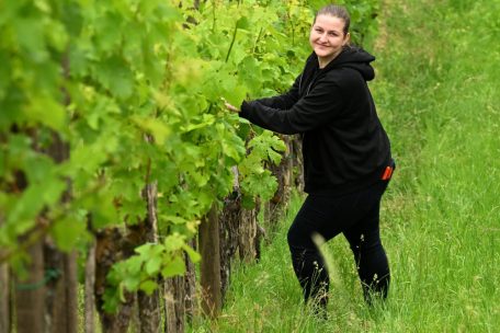 Mag es zwar nicht auf Fotos abgebildet zu werden, kommt aber dennoch immer wieder mit in den Weinberg: unsere Grafikerin Jil Scheuer