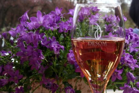 Wine Taste Enjoy / 28 Weingüter laden am Pfingstwochenende zum Entdecken ein