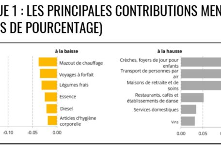 Die wichtigsten monatlichen Beiträge (in Prozentpunkten)