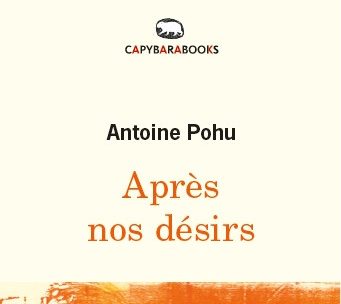 Couverture du livre „Après nos désirs“ d’Antoine Pohu