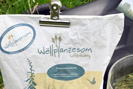 Den gibt es bei Sicona und er eignet sich auch für den eigenen Garten