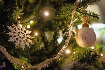 Winter is coming / Ist denn schon Weihnachten? Die Stadt Luxemburg sucht nach rund 15 Tannenbäumen