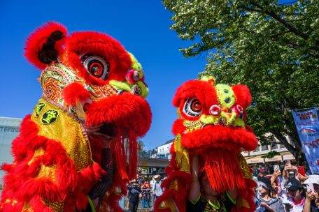 Drachenbootfestival / Wo China auf Remich trifft