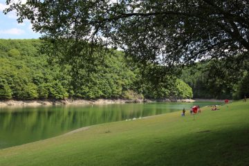 Sommer, Sonne, Ausschlag / Stausee gesperrt: Blaualgen vermiesen Badespaß