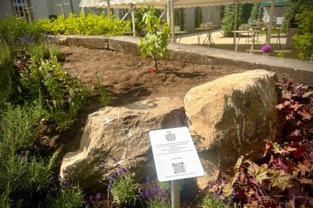 Europäische Verbundenheit / Maribor schenkt Schengen älteste Weinrebe der Welt