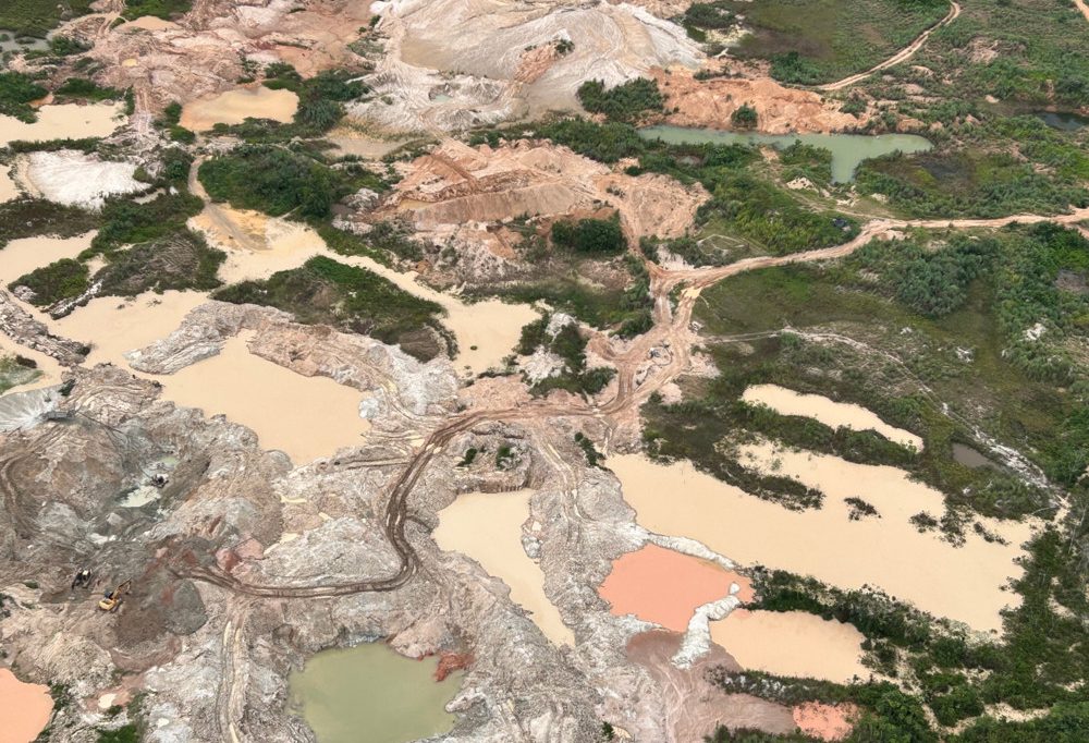 Standpunkt / Umweltkriminalität kennt keine Grenzen