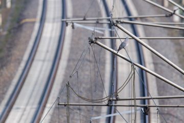 Rettungseinsatz in Milbech / Zugverkehr auf Strecke Luxemburg-Wasserbillig-Trier zwischenzeitlich beeinträchtigt