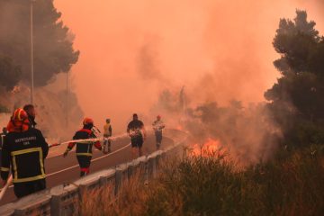 Einwohner und Touristen evakuiert / Waldbrand an Kroatiens Adria – Polizei nimmt Ermittlungen wegen Brandstiftungen auf