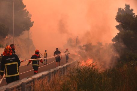 Einwohner und Touristen evakuiert / Waldbrand an Kroatiens Adria – Polizei nimmt Ermittlungen wegen Brandstiftungen auf