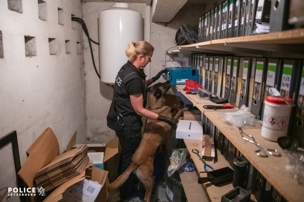 700.000 Euro Schaden / 48 Einbrüche: Polizei nimmt Verdächtige in Luxemburg und Frankreich fest