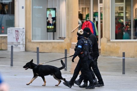 Luxemburg / Die Lokalpolizei patrouilliert seit einem Jahr: Wie es mit dem Pilotprojekt weitergeht