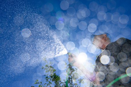 Roter Alarm / „Große Gefahr“: Meteolux erhöht Warnstufe für den Luxemburger Süden – Bis zu 39 Grad