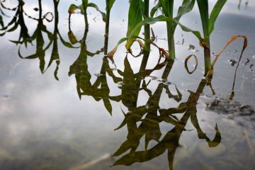Klimaschutz / Die EU-Kommission will 90 Prozent weniger Emissionen bis 2040