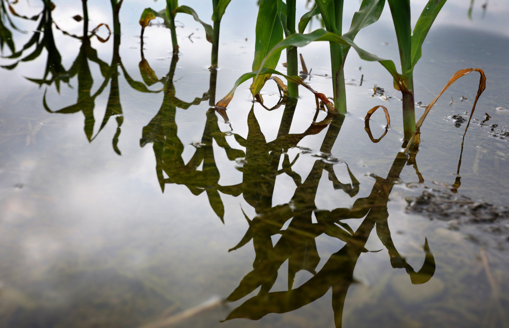 Klimaschutz / Die EU-Kommission will 90 Prozent weniger Emissionen bis 2040