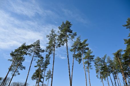 Forum / Warum Investitionen in die Natur laut Ursula von der Leyen und Jessika Roswall eine Chance sind, die wir nicht verpassen dürfen
