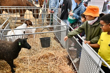 Mittendrin statt nur dabei