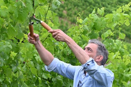 Arbeitsnachweis des Autors