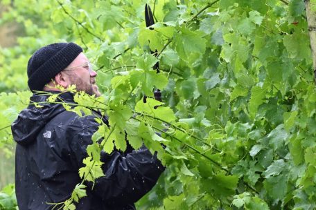 Tom beim Grün-Bashing: Es gab einiges zu tun 