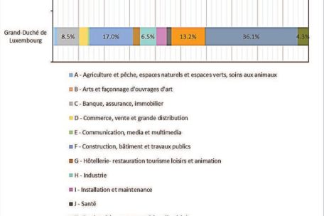 Außergewöhnlich viele Arbeitsplätze im Bau gibt es im Vergleich zum Landesdurchschnitt in Esch, nämlich 41,7%