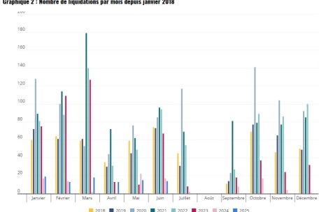 Die Anzahl der monatlichen Liquidationen seit Januar 2018