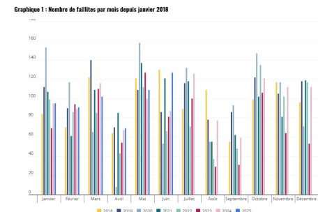 Die Anzahl der monatlichen Insolvenzen seit Januar 2018