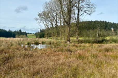 Unberührtes Luxemburg (2) / Das Naturschutzgebiet Cornelysmillen verbindet Feuchtbiotope mit Zeitgeschichte