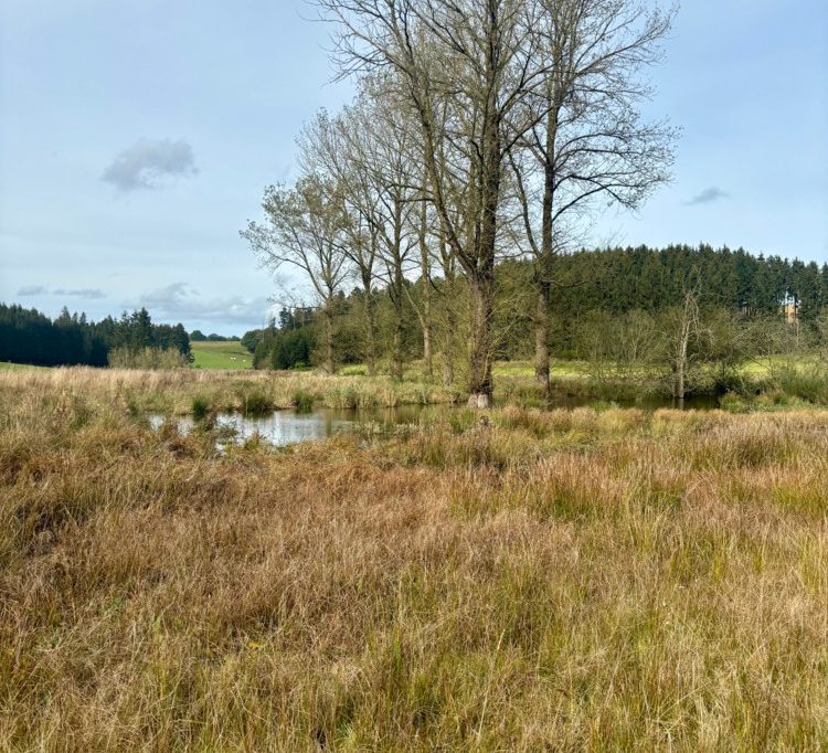 Unberührtes Luxemburg (2) / Das Naturschutzgebiet Cornelysmillen verbindet Feuchtbiotope mit Zeitgeschichte