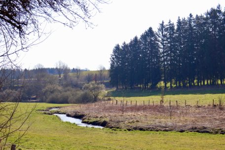 Unberührtes Luxemburg (4) / Das Naturreservat Léresmillen ist ein Rückzugsort für seltene Vogelarten