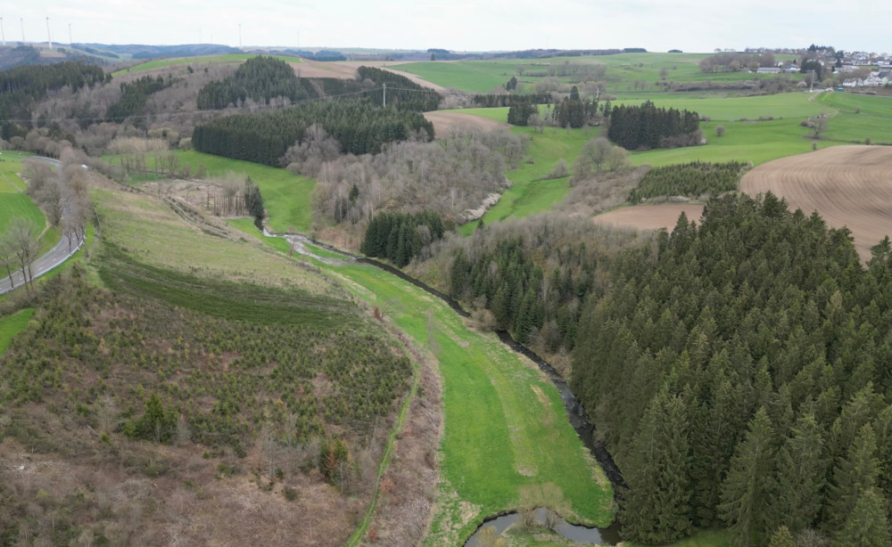 Unberührtes Luxemburg (5) / Das Naturschutzgebiet Follmillen ist ein Mosaik aus Wiesen, Wäldern und Wasser