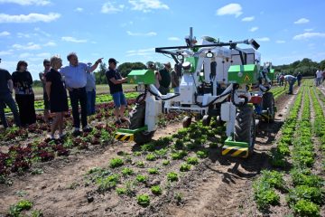 Landwirtschaft / Innovativer Feldroboter vorgestellt: Weniger Herbizide im luxemburgischen Gemüsebau