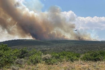 Waldbrand am Grand Canyon / Nationalpark evakuiert rund 500 Touristen